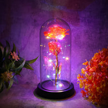 Elegant LED Eternal Rose in Plastic Dome (1 Pc / Battery Not included)