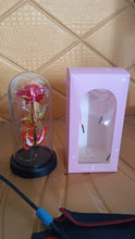Elegant LED Eternal Rose in Plastic Dome (1 Pc / Battery Not included)